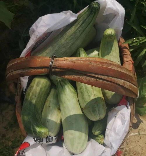 娱乐吃瓜带货,娱乐圈吃瓜达人带你解锁明星带货新姿势